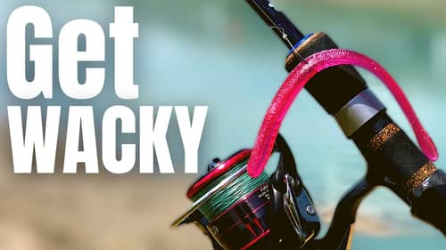 3 WACKY RIG Tips That Will IMPROVE Your BASS FISHING