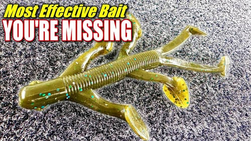 The Most Effective Bait You Are Probably Not Using