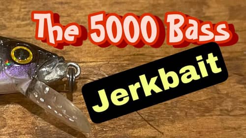 The Jerkbait Color I’ve Caught Over 5000 Bass On…