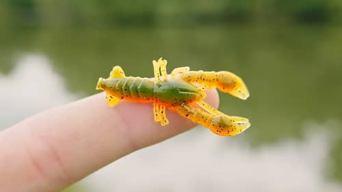 Worlds SMALLEST Crawfish Lure!!! (AWESOME)