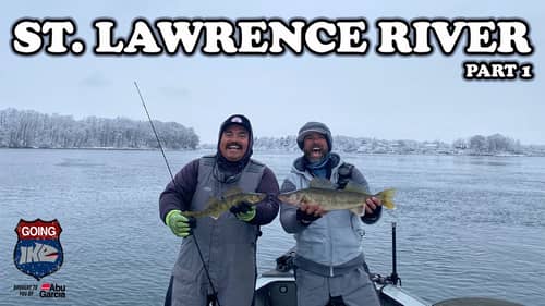 Fishing the St. Lawrence River (LOTS of Fish!!)
