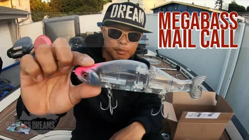 Megabass RESPECT GG Sunfish Color Lures and RARE Surprises Mail Call