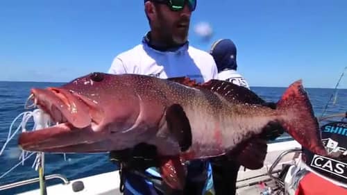 CAPE YORK FISHING The Chaunt Ep 4 - Insane Fishing Great Barrier Reef (GT Popping and Light Tackle)