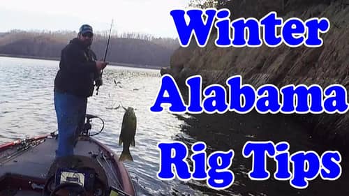 Winter Alabama Rig Tips