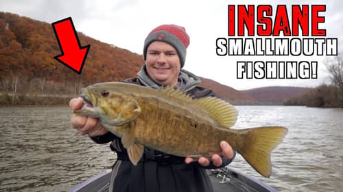 INSANE Day of Fall Smallmouth Bass Fishing!