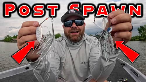 Top 5 Baits For Post Spawn Bass Fishing! (Early Summer Transition)