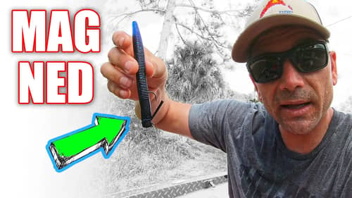 Mag NED RIG Put to the TEST | Does it Even WORK?!?!