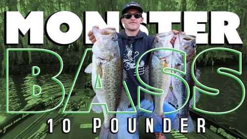 How to Fish for MONSTER Bass on a River (10lb Bass & 25lb Bag)