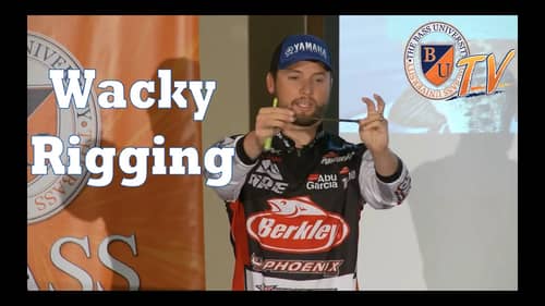 The Wacky Rig with Justin Lucas