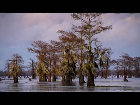 My Favorite And Least Favorite Lakes By State...Louisiana