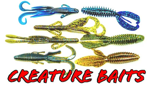 Buyer's Guide: Craw and Creature Baits for Year Round Success!