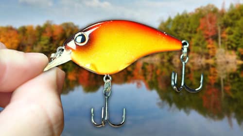 You CAN'T Beat These 5 NOVEMBER Lures