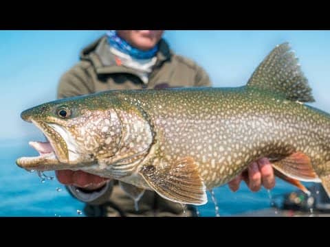 REMOTE FISHING The Largest Lake in The USA -- (MEGA Trout)