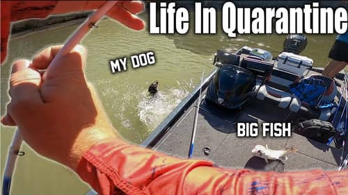 Life in Quarantine: Episode 1 - Jumping in head first