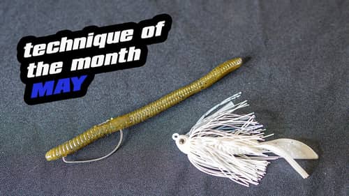 Technique Of The Month | May | Shad Spawn/ Bass Spawn Combo