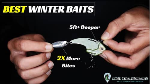 Top Winter Baits on Deep, Clear Lakes | Modifications, Setups, Conditions