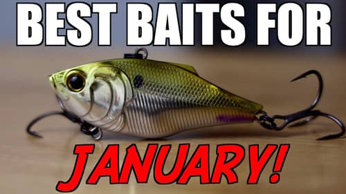 Top 3 BAITS For JANUARY Bass Fishing!