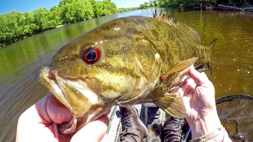 A Mississippi River Smallie Fishing Adventure!