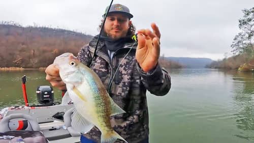 Catching BIG CRAPPIE In BACKS OF CREEKS! Fishing With Jigs!