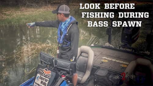 Look Before Fishing Around the Bass Spawn