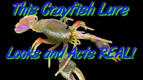 Extremely LIFELIKE Crayfish lure HOTTEST NEW lure on the market!