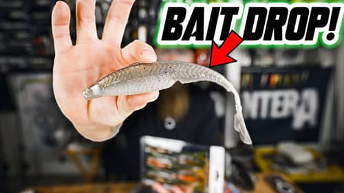 BAIT DROP! NEW SECRET BAIT + Shindig & Boosa Ned by 6th Sense Fishing 🔥🎣