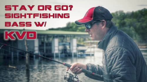 Sight Fishing Bass With KVD: Stay or Go?