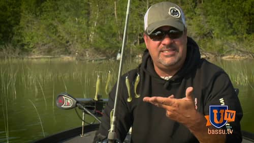 Catch DOUBLES & TRIPLES of BASS on 1 CAST - Mark Zona