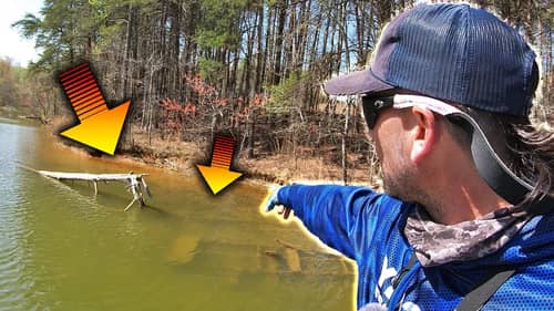 My Secret Spring Bass Technique (Do it on ANY Lake!)