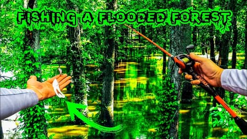 Throwing TOPWATER ONLY In a FLOODED FOREST!!! || GIANT BLOWUP!!!