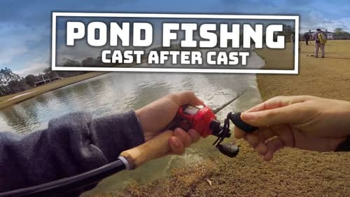 Pond Fishing - Cast After Cast (20+ Fish)