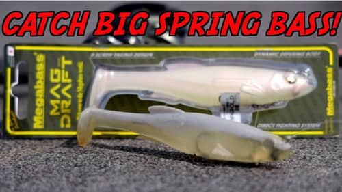 The BEST Lure For Catching BIG Prespawn Bass! - Megabass Magdraft