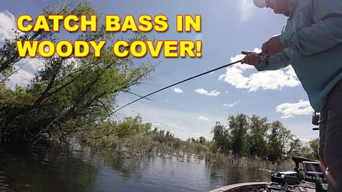 Catch Bass In Thick Cover | Bass Fishing