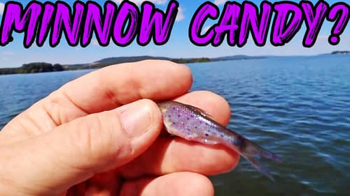NEW MINNOW CANDY?? Get More Bites FISHING FOR CRAPPIE! (Tournament Technique?)