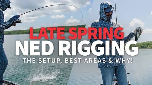 Fishing DEEP Clear Water SPAWNERS! – Late Spring NED Rigging!