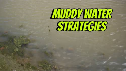 Top Strategies For Fishing In Muddy /Dirty Water…