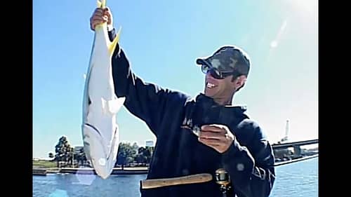 Mike Iaconelli's City Limits Fishing: Tampa Bay Flats Fishing!