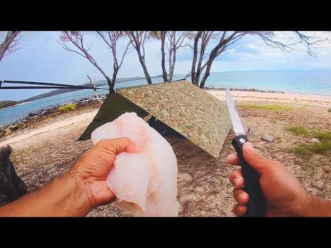 Living From The Ocean... Solo Beach Camping On An Uninhabited Island - Day 2
