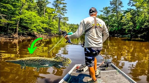 BOWFISHING For TROPHY FISH In a SUPER SHALLOW River!!!
