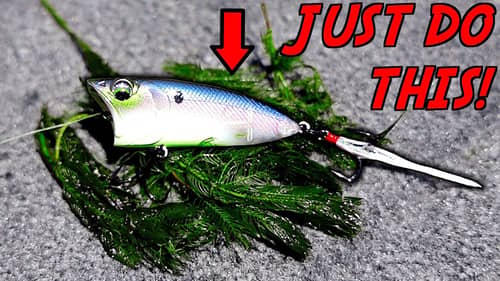 Find Bass 10x Faster in The Grass by Doing THIS!