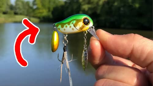 CRAZIEST Expensive Tiny Lure I've EVER Seen!!! (Surprising)