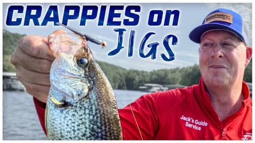Crappie Fishing in the Summer | Best Spots and Lures