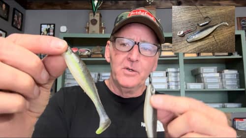 You Gotta Hear About My Buddy’s New Swimbait Technique…