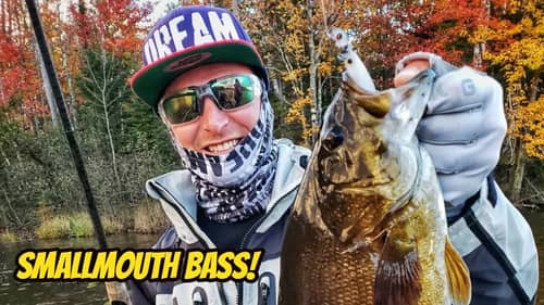 Finesse Fishing Smallmouth Bass in the Upper Midwest