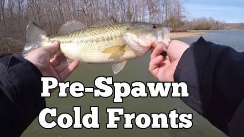 Pre Spawn Cold Front Bass Fishing  | Limits
