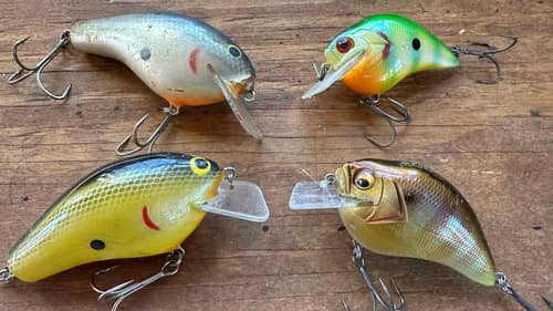 90% Of Bass Anglers Will Fail This Squarebill Crankbait Question..