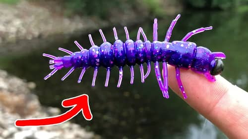 CREEPIEST Fishing Lure I've EVER Seen!!!