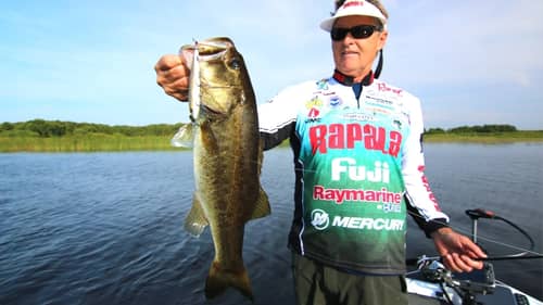 How to Fish Prop Baits for Big Bass Around Grass