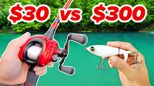 $30 vs $300 Topwater Budget Fishing Challenge (Rod, Reel, Lures)