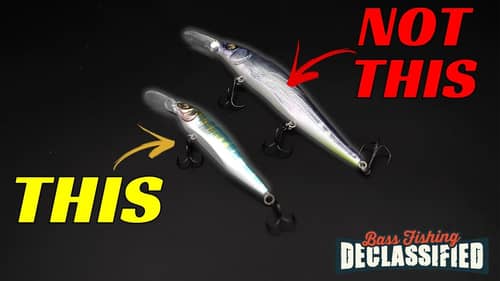 Avoid These Common Jerkbait Fishing Mistakes In The Winter